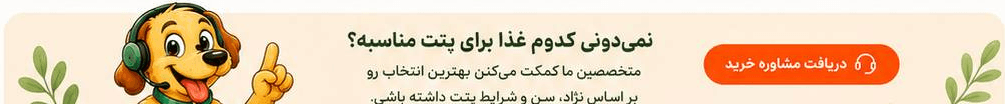 نمی‌دونی کدوم غذا برای پتت مناسبه؟ مشاوره بگیر